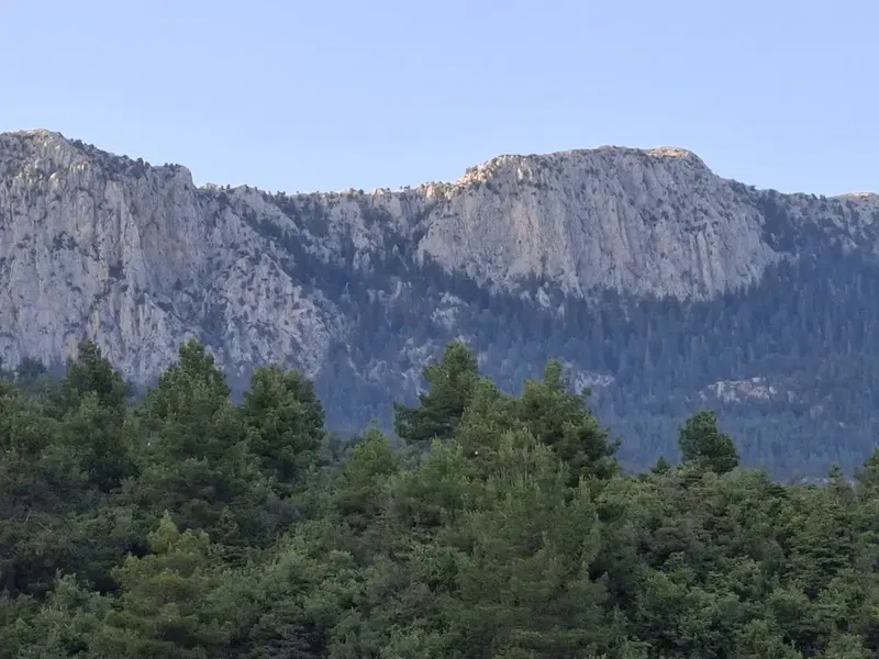 Güzelsu Köyü Muhtarlığı - Photo 5