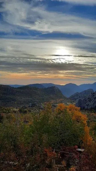 Güzelsu Köyü Muhtarlığı - Photo 7
