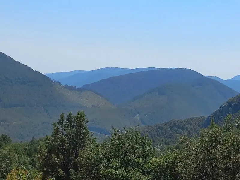 Güzelsu Köyü Muhtarlığı - Photo 8