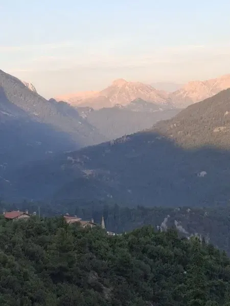 Güzelsu Köyü Muhtarlığı - Photo 10