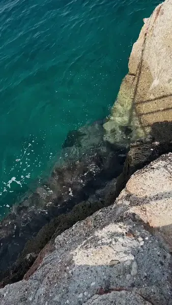 Halk Beach - Photo 8