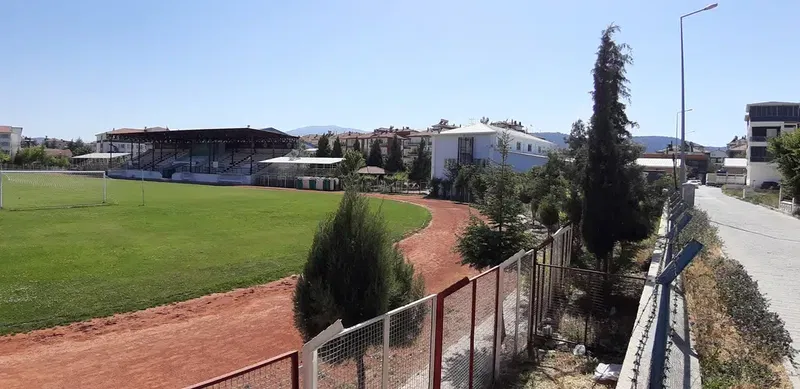 Football Field - Photo 2