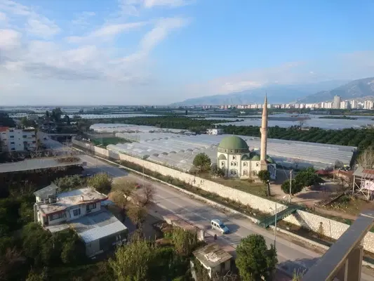 Halı Saha