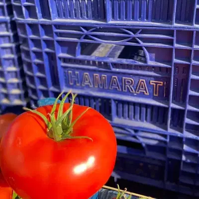 Hamarat Tarimsal Üreti̇m (Merkez)