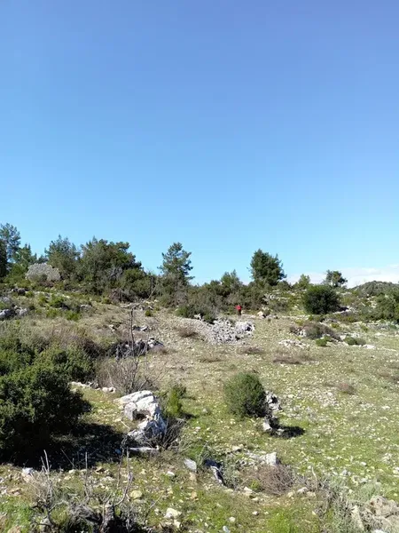 HAMAXIA - Sinek kalesi - Photo 6