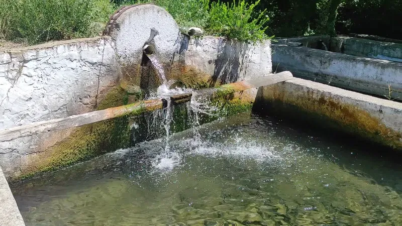 Hamido Alabalık Üretim Çiftliği - Photo 1