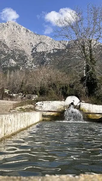 Hamido Alabalık Üretim Çiftliği - Photo 6