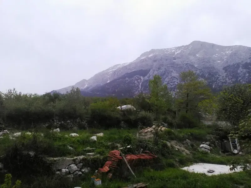 Hamido Alabalık Üretim Çiftliği - Photo 9