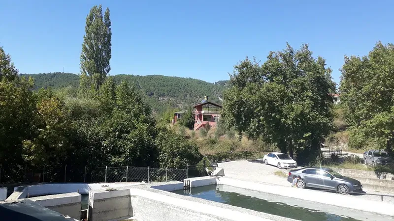 Hamido Alabalık Üretim Çiftliği - Photo 10