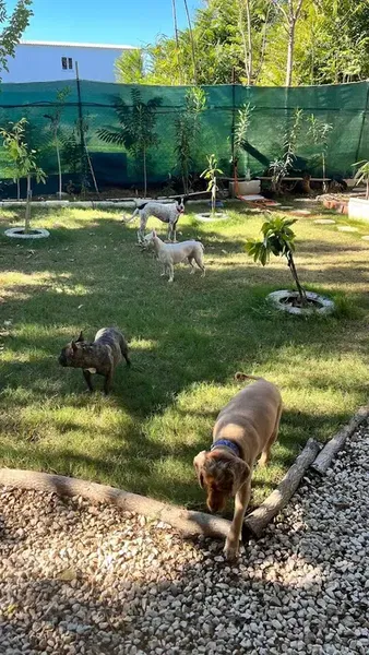 Happy Pet Hotel - Photo 1