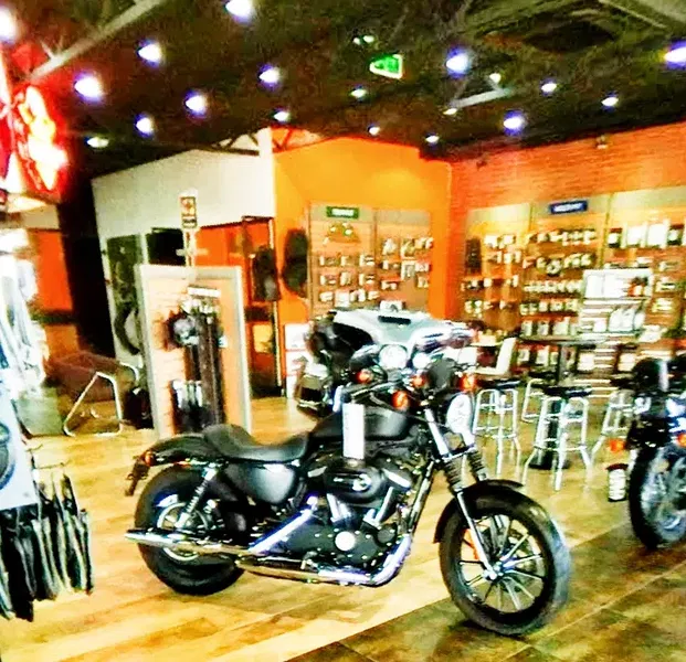 Harley-Davidson Antalya - Photo 4