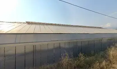 Has Mefrusat