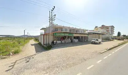Hasan Sari Tarim