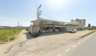 Hasan Sari Tarim - Photo 1