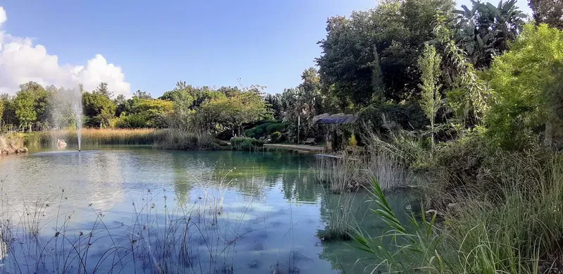 Hasan Subaşı parkı kır Kahvesi - Photo 2