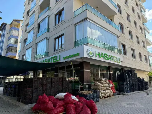 Hasateli