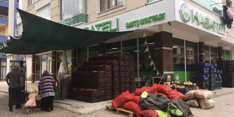 Hasateli - Photo 2