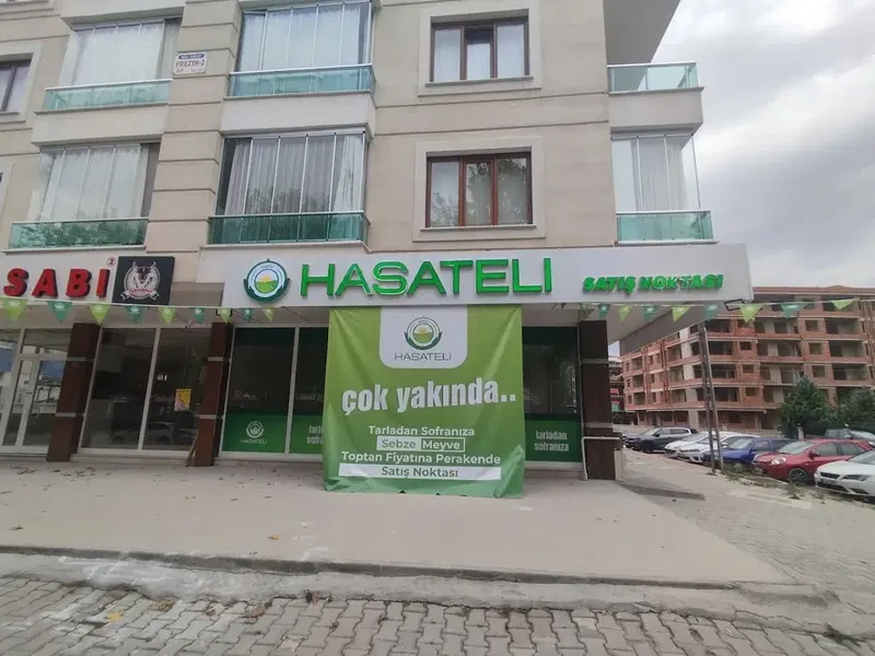 Hasateli - Photo 3