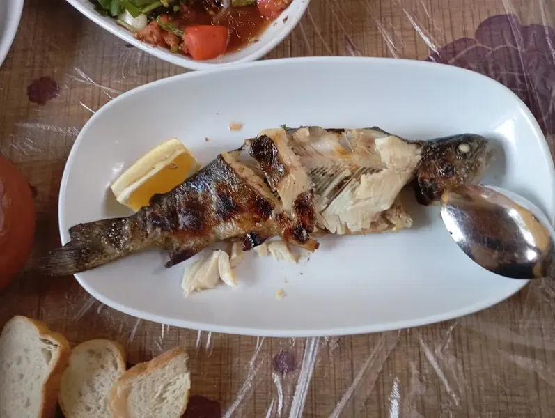 Hatıp Şelale Restaurant - Photo 7