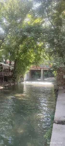 Hayal_Garden - Photo 5