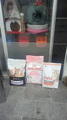 Hayalim petshop