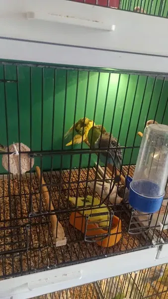 Hayalim petshop - Photo 3