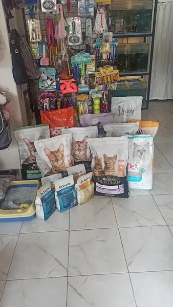 Hayalim petshop - Photo 4