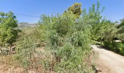 Hayat Pansiyon - Photo 1