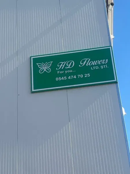 Hd Flowers - Photo 4