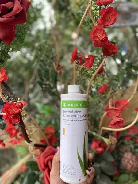Herbalife ZİLAN - Photo 5