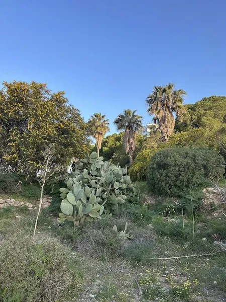 Hidden plaj - Photo 6