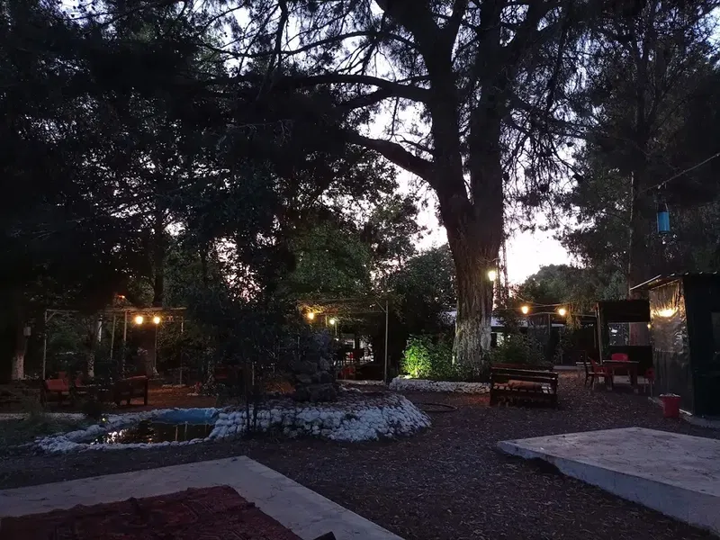 Hikâye Restaurant - Photo 6