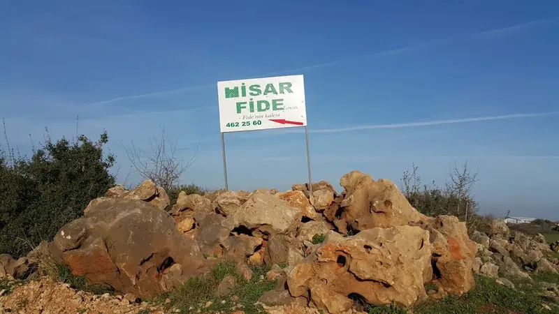Hisar Fide - Photo 6