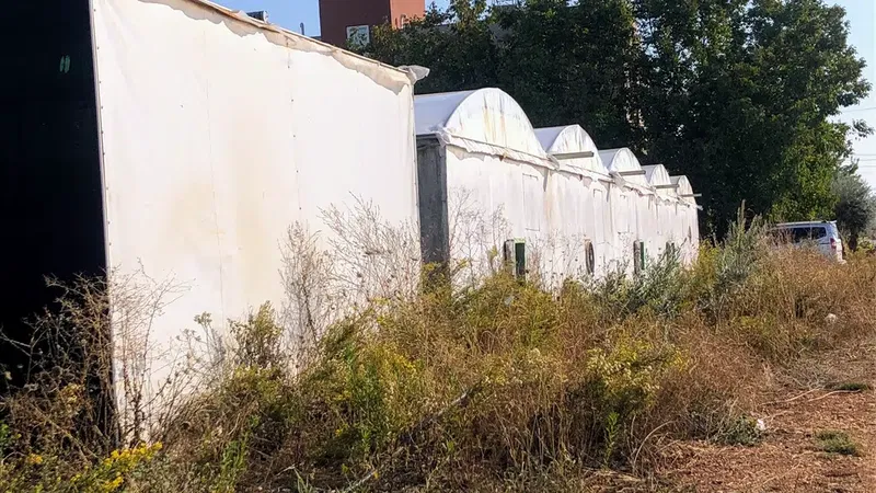Hn Mantar Üreti̇m Tesi̇si̇ - Photo 1