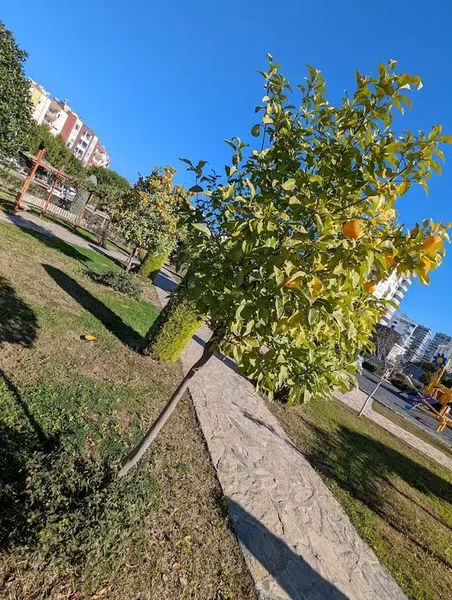 Hoca Ahmet Yesevi Parkı - Photo 5
