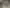 Hocacihan Tatbikat Cami fotoğrafı