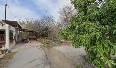 Holistik şifa