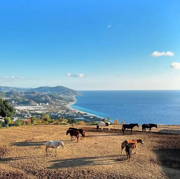 Horse Club Alanya - Pferdereittour - Конный Клуб Алания - Photo 6