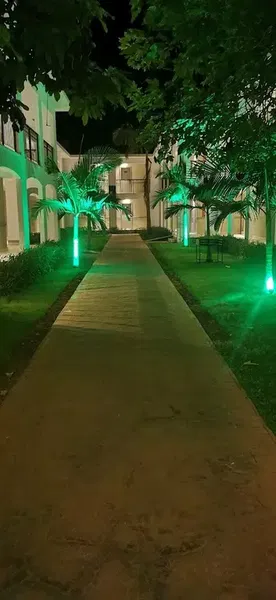 Hotel - Photo 8