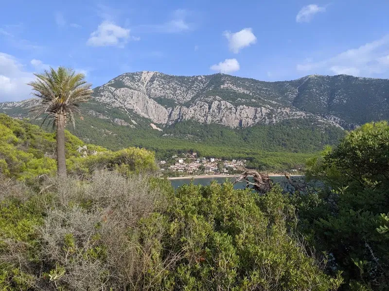 Hurmalık Koyu - Photo 3