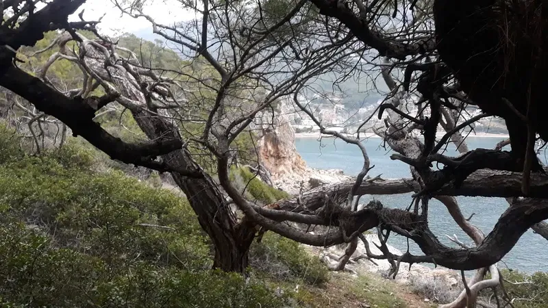Hurmalık Koyu - Photo 6