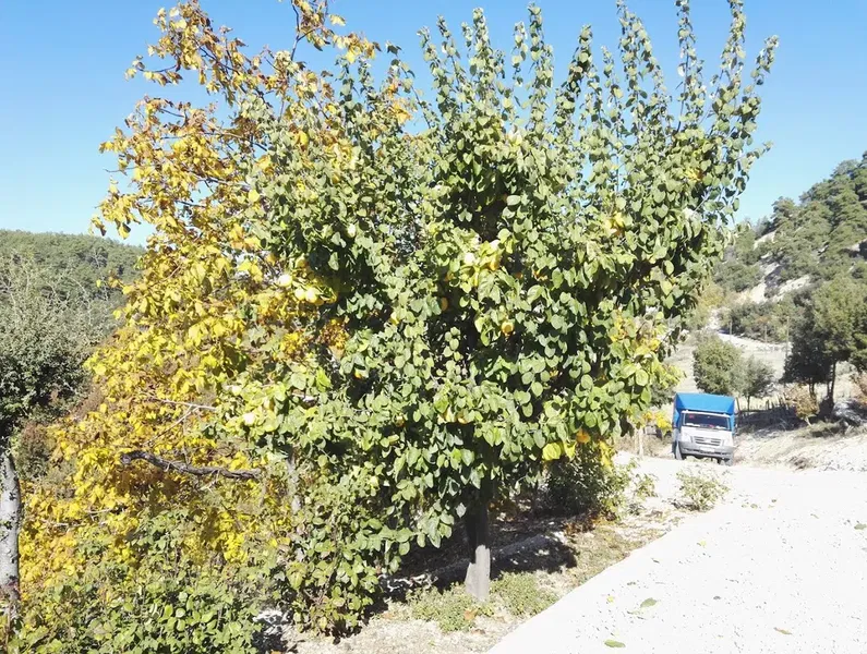 Hüseyin Önder in yeri - Photo 6