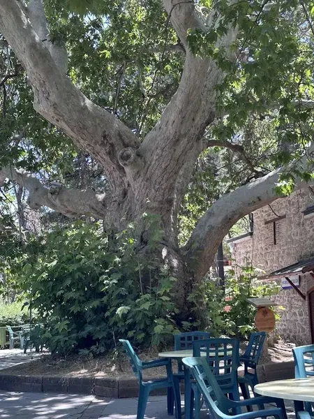 Hıdırlık Çay Bahçesi - Photo 4