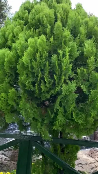 Hıdırlık Çay Bahçesi - Photo 8
