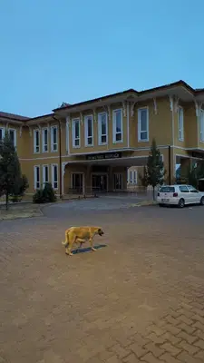 İbradi Kaymakamlığı