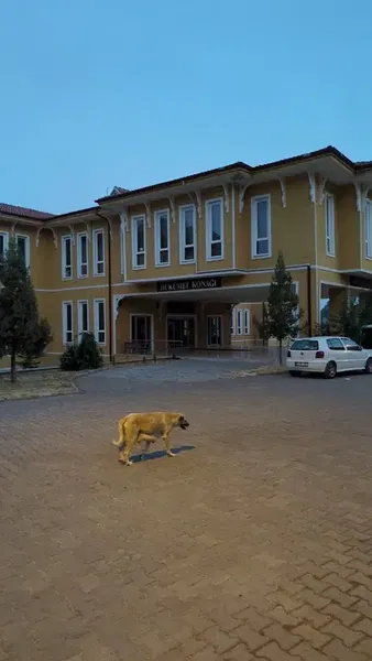 İbradi Kaymakamlığı - Photo 7