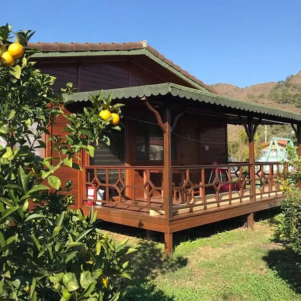 İkiz Villas Çıralı - Photo 1