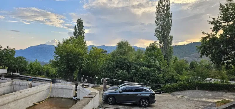 İkizpınar Alabalık Çiftliği - Photo 2