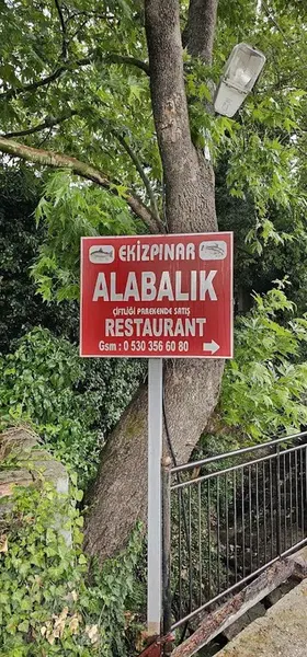 İkizpınar Alabalık Çiftliği - Photo 3