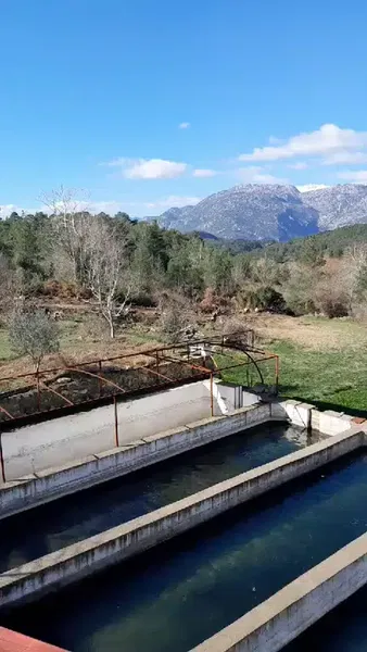 İkizpınar Alabalık Çiftliği - Photo 4